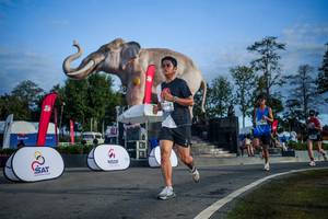 BIB: 
                            <button type="button" onclick="openModal(26541940)" class="btn btn-primary btn-sm float-right btn-popup" data-toggle="modal" data-target=".modal-high-quality">
                        <i class="fas fa-shopping-cart"></i> Add to Cart
                    </button>
                                            <button type="button" onclick="isThisMe(26541940, true)" class="btn btn-success btn-sm float-right btn-popup btn-isme hidden" data-toggle="tooltip" data-placement="bottom" title="นี่คือรูปของคุณใช่ไหม คลิกที่นี่เพื่อเอาเข้าอัลบั้ม">
                        <i class="fas fa-plus"></i> Add to album
                    </button>
                    <button type="button" onclick="isThisMe(26541940, false)" class="btn btn-warning btn-sm float-right btn-popup btn-isnotme hidden">
                        <i class="fas fa-ban"></i> Remove from album
                    </button>